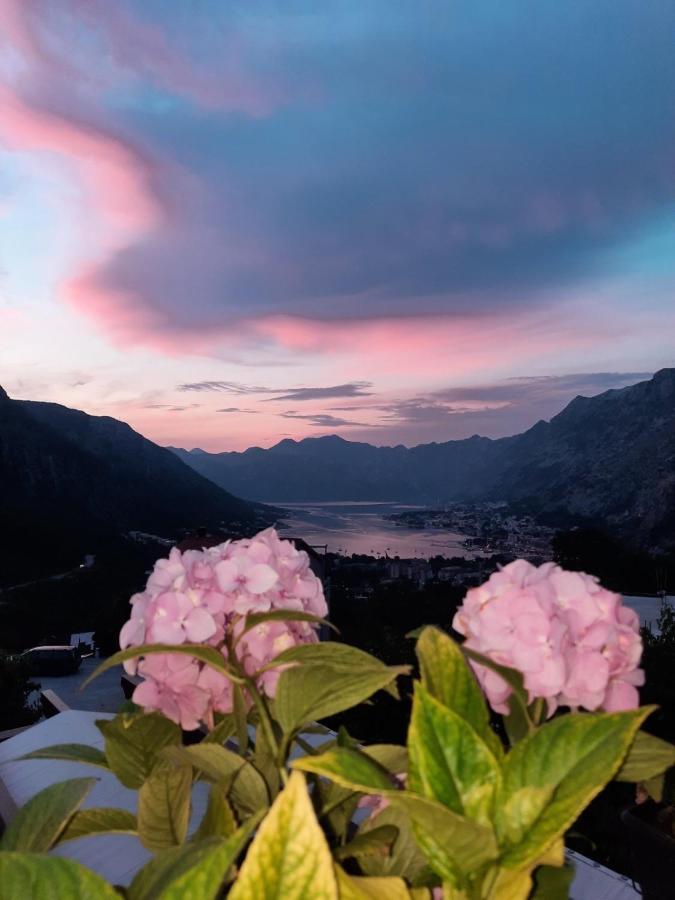 Apartmani Vasilije Kotor Zewnętrze zdjęcie
